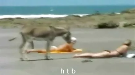 Đôi. Lâu lụa, chải tóc, chết phim sex hd hd tiệt
